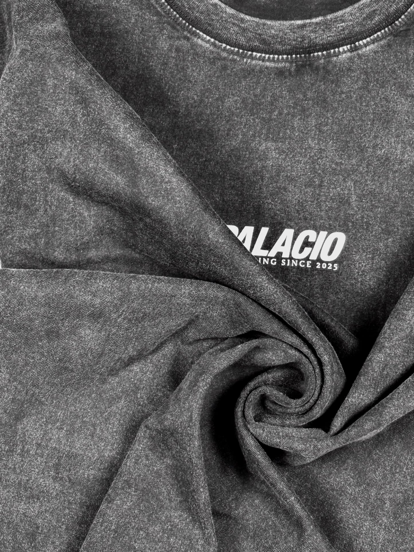 Palacio Acid Wash Series - Nobody Cares Shirt